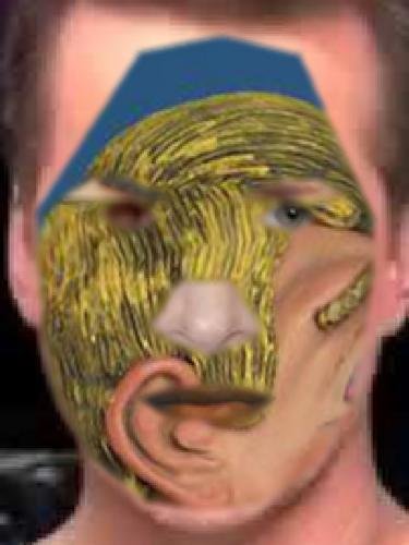 tumblr_nuw3qi9W4w1uncgmto1_400.jpg