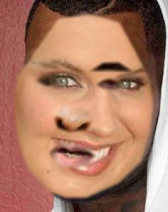 tumblr_oju4gmWN801uncgmto1_400.jpg