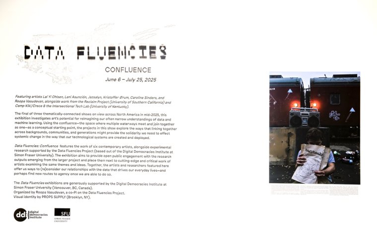 250612_Data Fluencies Exhibation_SDI_0002 Large.jpeg