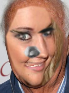 tumblr_ocqhoq1euu1uncgmto1_400.jpg