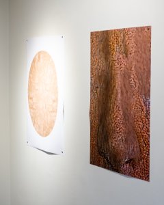 Møstings Hus_20191108_Putins næse_x-t20_DSCF8825_LRjust.jpg