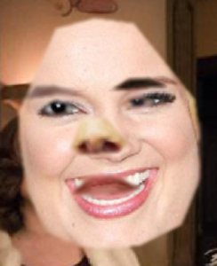 tumblr_ovroclQkaf1uncgmto1_500.jpg