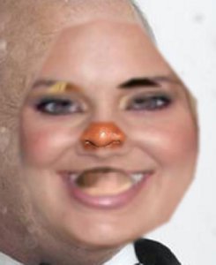 tumblr_p0g9skaUsE1uncgmto1_500.jpg