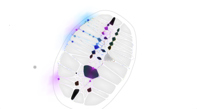 ABody_0001_Layer-9.png