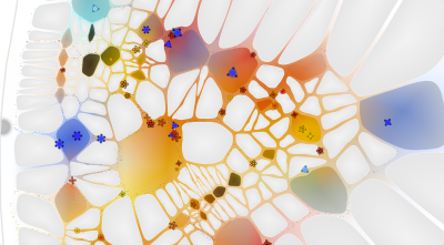 ABody_0003_Layer-7.png