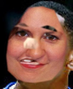 tumblr_nphiaeEsly1uncgmto1_500.jpg