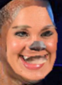 tumblr_o1mkgp3T4p1uncgmto1_400.jpg