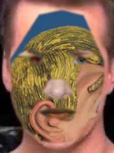 tumblr_nuw3qi9W4w1uncgmto1_400.jpg