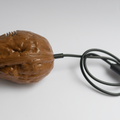 Wireless Walnut