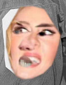 tumblr_nyfteaTy9v1uncgmto1_400.jpg