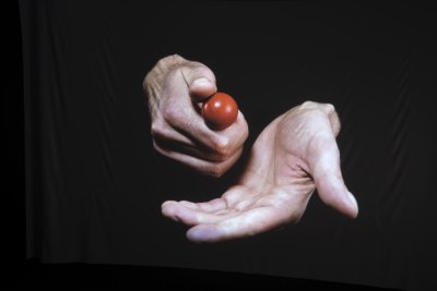 _DSF8891.JPG