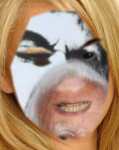 tumblr_p67lpoF0pM1uncgmto1_400.jpg