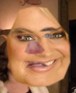 tumblr_oxmcclih5E1uncgmto1_500.jpg