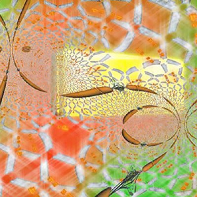 Search for Carrot ExtraTerrestrial Intelligence
