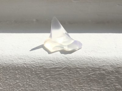 brus-micro-pes.jpg