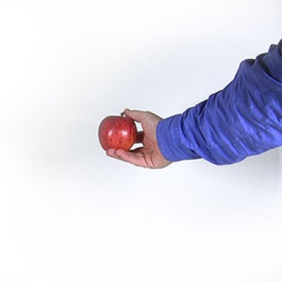 Disbelieving Gravity