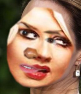tumblr_nlqhmoNsbD1uncgmto1_500.jpg
