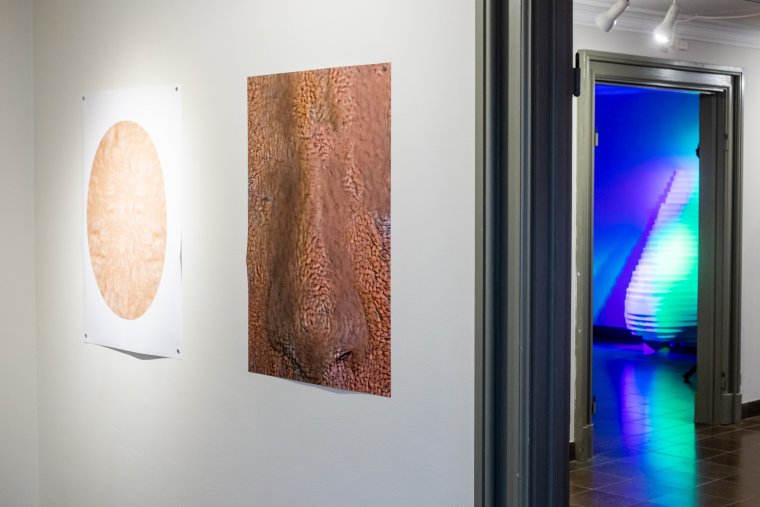 Møstings Hus_20191108_Putins næse_x-t20_DSCF8826_LRjust.jpg