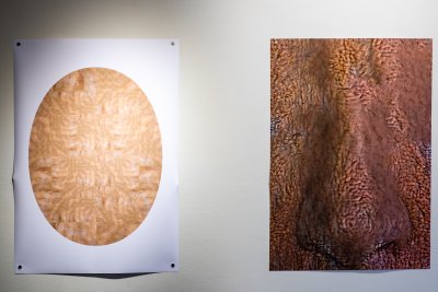 Møstings Hus_20191108_Putins næse_x-t20_DSCF8773_LRjust.jpg