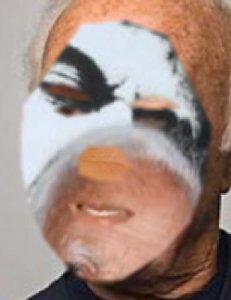 tumblr_olhdskPHmh1uncgmto1_400.jpg