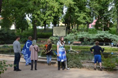 dsc_5081_48543348776_o.jpg