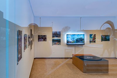 P1000817.jpg