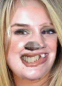 tumblr_oyr30lLH1f1uncgmto1_400.jpg