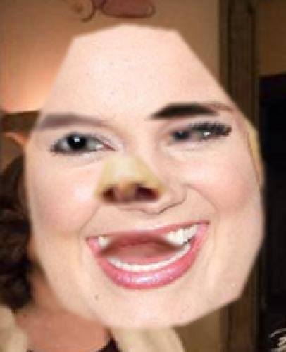 tumblr_ovroclQkaf1uncgmto1_500.jpg