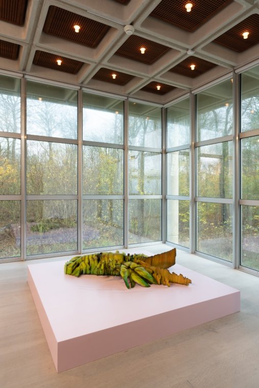 008.jpg
