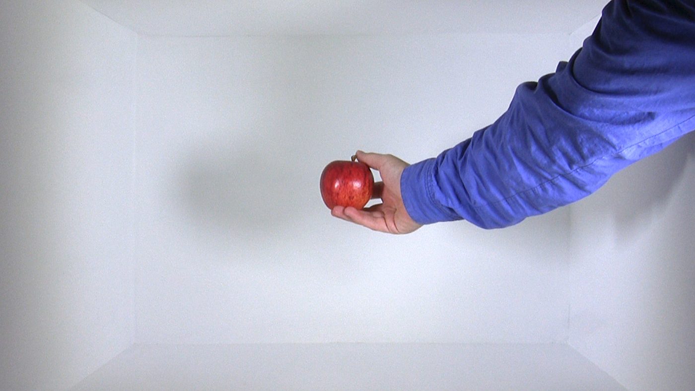 Disbelieving Gravity