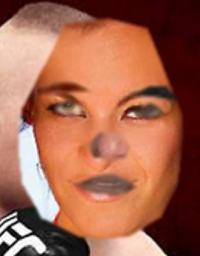 Recognised Faces
