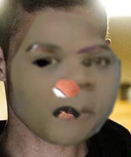 Recognised Faces