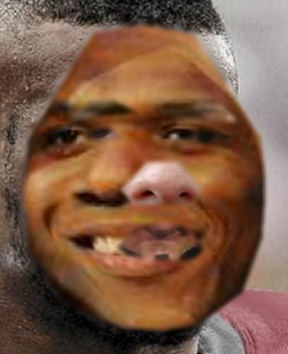 Recognised Faces