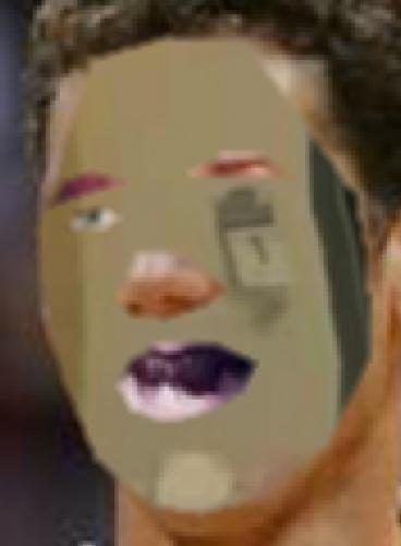 Recognised Faces