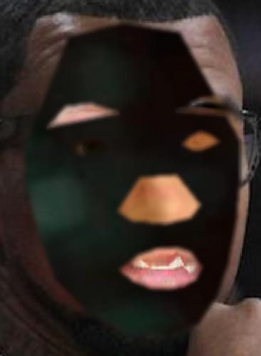 Recognised Faces