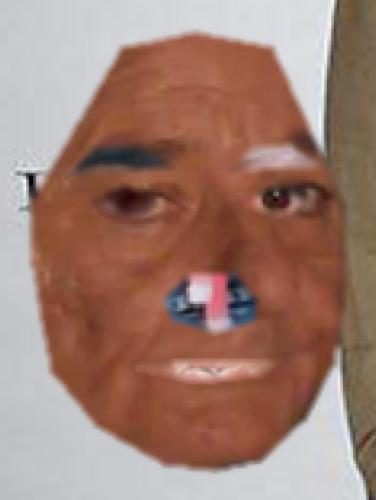 Recognised Faces