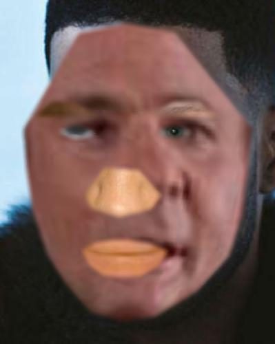 Recognised Faces
