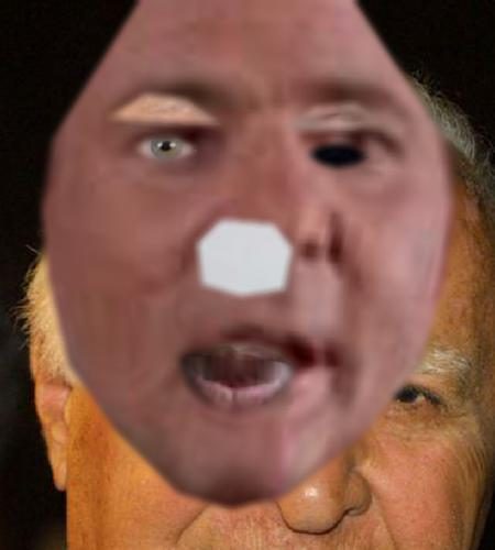 Recognised Faces