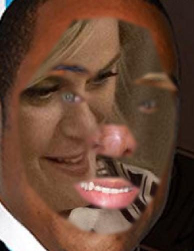 Recognised Faces