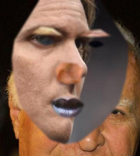 Recognised Faces