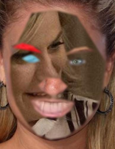 Recognised Faces