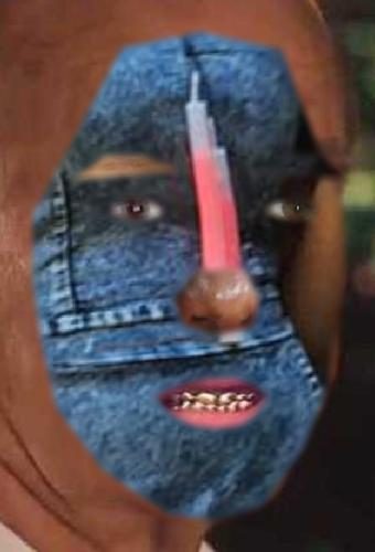 Recognised Faces