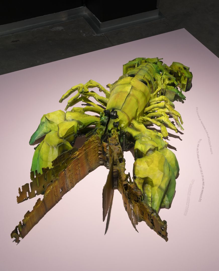Signal_Crayfish