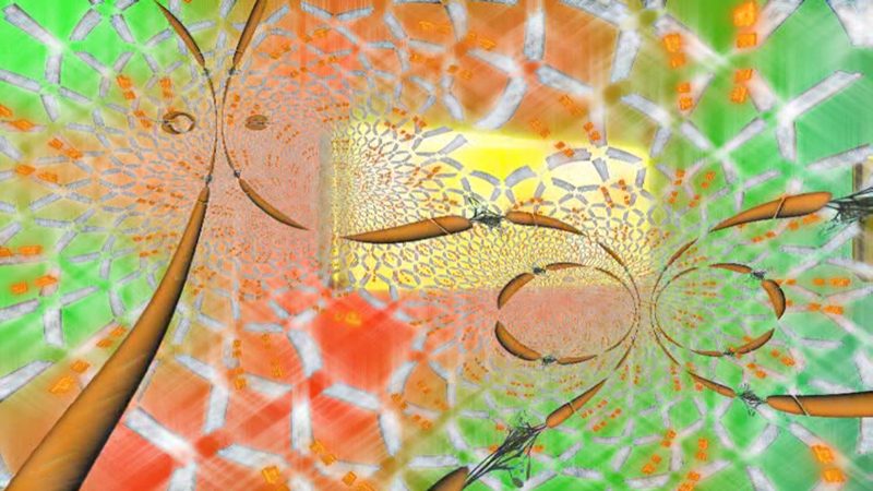 Search for Carrot ExtraTerrestrial Intelligence