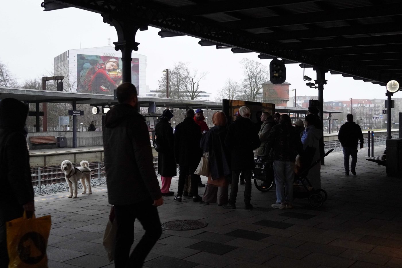 Aalborg Is The Future