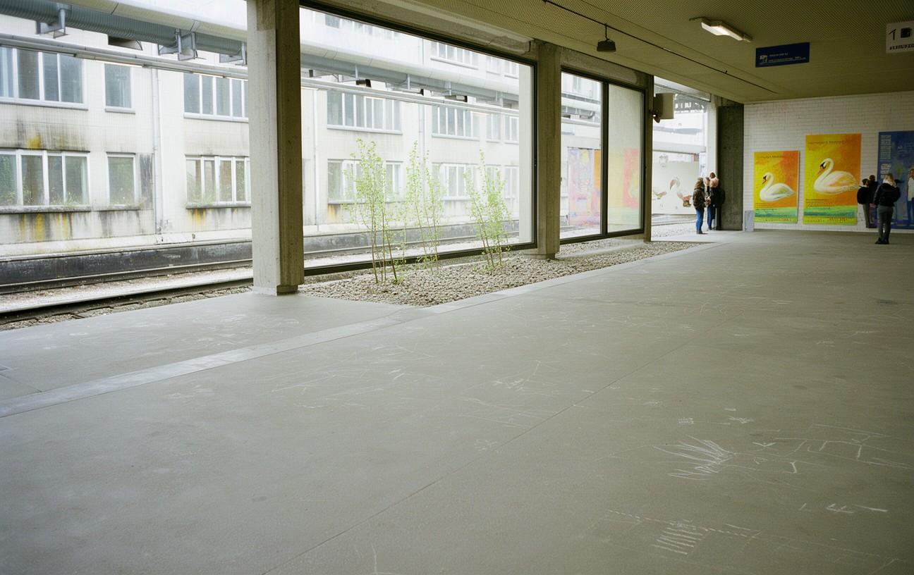 Svanebilleder – Billeder fra Stationens Lommer