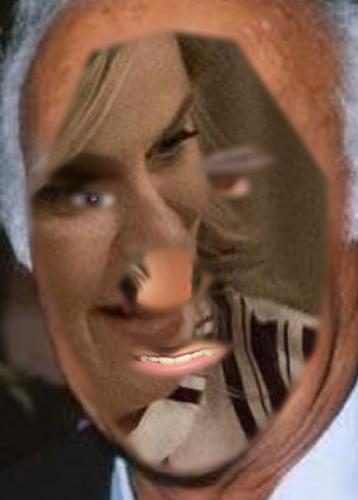 Recognised Faces