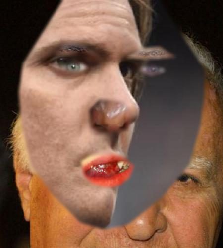 Recognised Faces
